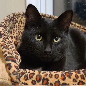 Meet your Posher, Linda